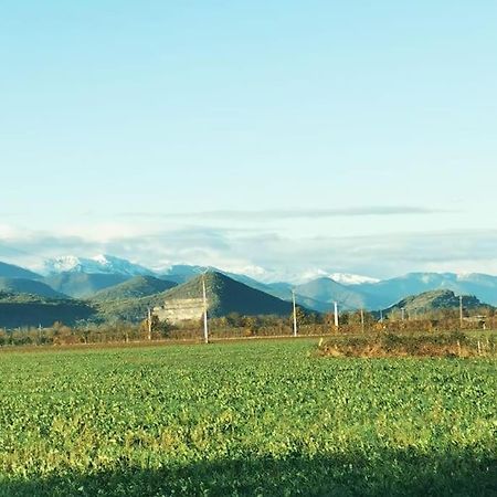 T3 Au Pied Des Pyrenees Leilighet Pointis-de-Riviere Eksteriør bilde